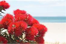 2025-2026 Seasons greetings