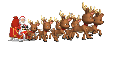 reindeer